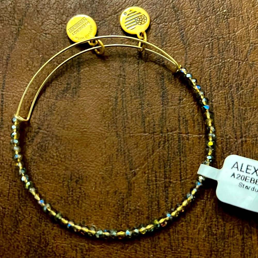 Alex and Ani Fern Stardust Bracelet NWT